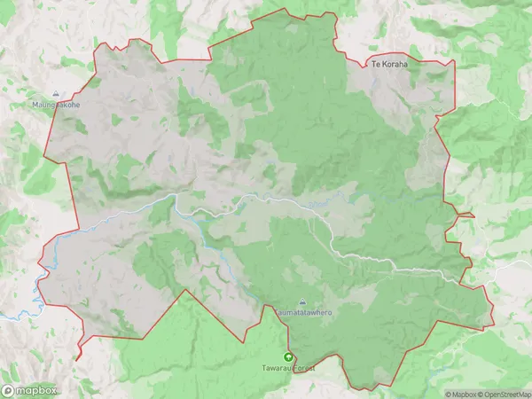 Te Anga, Waikato Polygon Area Map