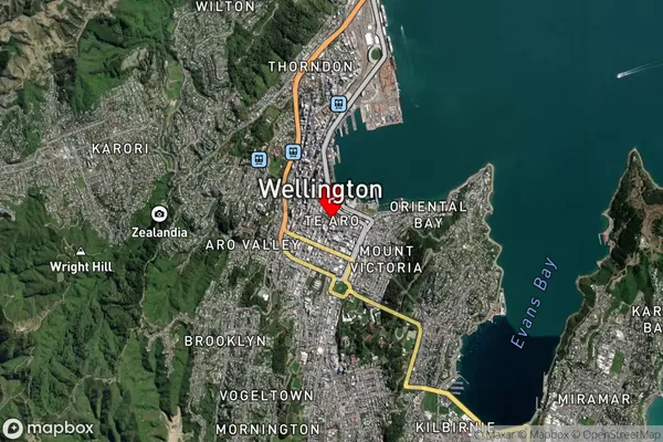 Te Aro,Wellington Satellite Map