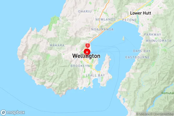 Te Aro,Wellington Region Map