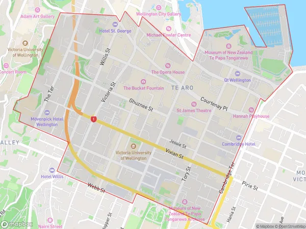 Te Aro, Wellington Polygon Area Map