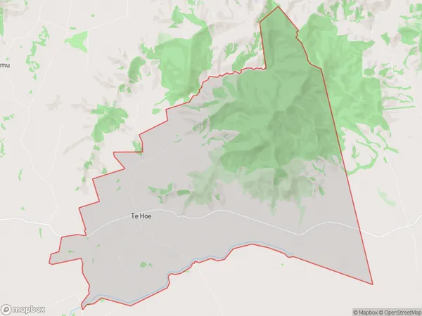 Te Hoe, Waikato Polygon Area Map