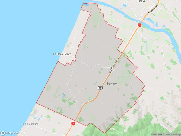 Te Horo, Wellington Polygon Area Map