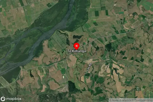 Te Kohanga,Waikato Satellite Map