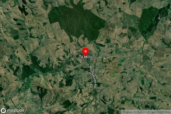 Te Miro,Waikato Satellite Map