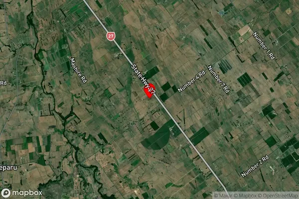 Te Puninga,Waikato Satellite Map