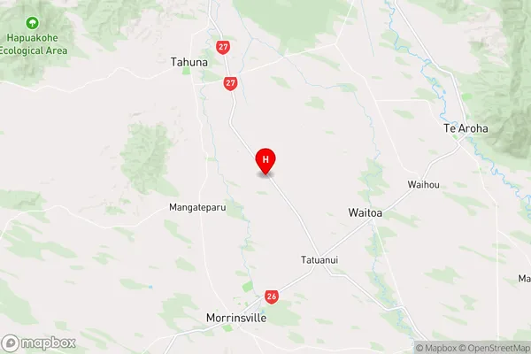 Te Puninga,Waikato Region Map