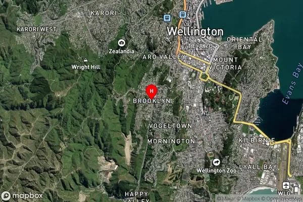 Brooklyn,Wellington Satellite Map