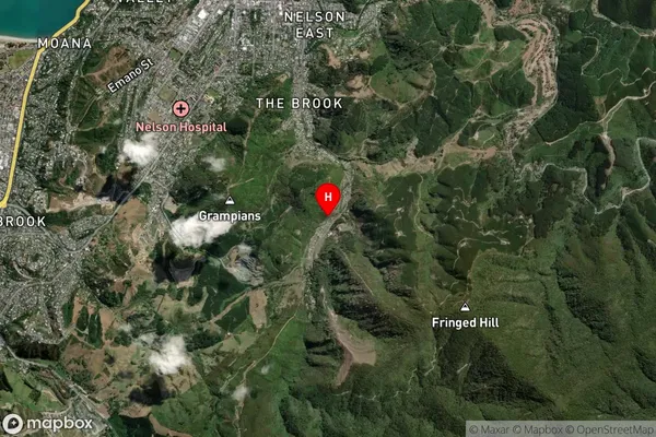 The Brook,Nelson Satellite Map