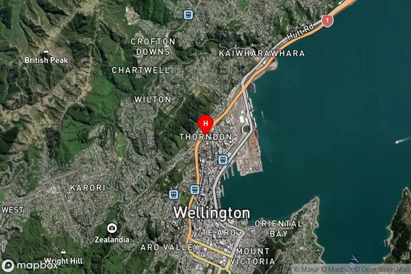 Thorndon,Wellington Satellite Map