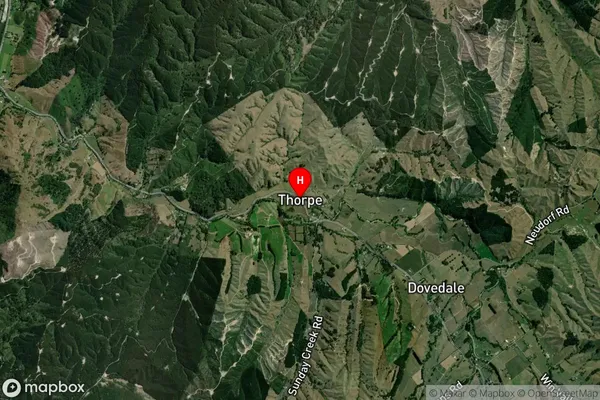 Thorpe,Tasman Satellite Map