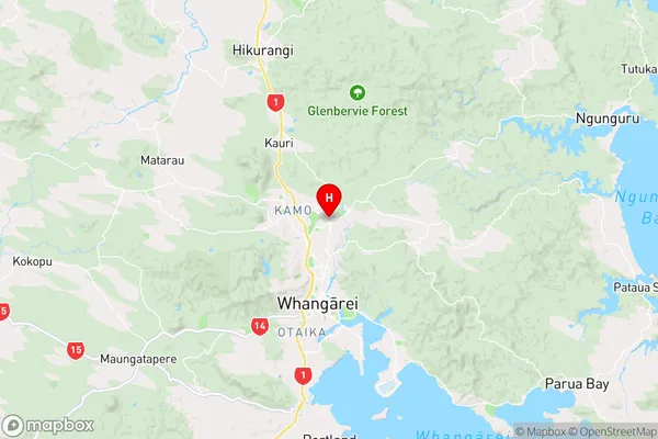 Tikipunga,Northland Region Map