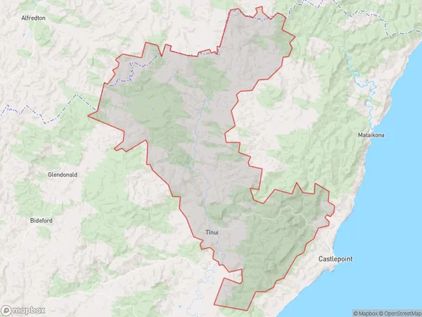 Tinui, Wellington Polygon Area Map