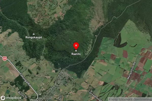 Raetihi,Manawatu-Wanganui Satellite Map