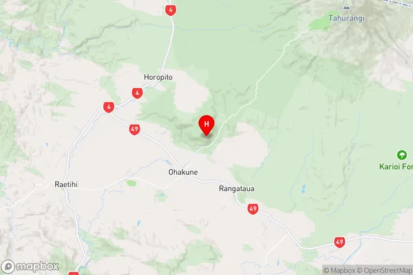 Raetihi,Manawatu-Wanganui Region Map