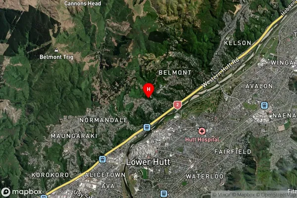 Tirohanga,Wellington Satellite Map