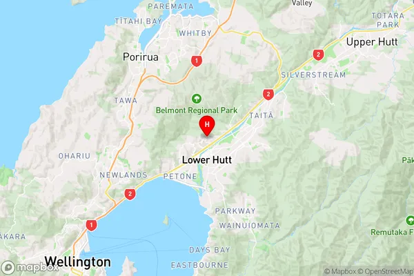 Tirohanga,Wellington Region Map