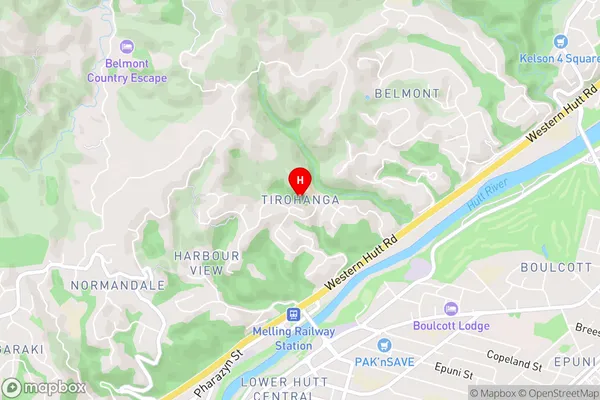 Tirohanga,Wellington Area Map