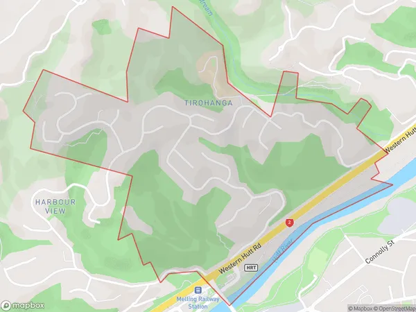 Tirohanga, Wellington Polygon Area Map