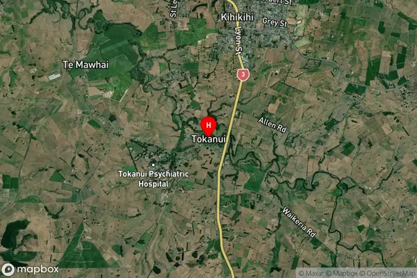 Tokanui,Waikato Satellite Map