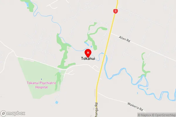 Tokanui,Waikato Area Map