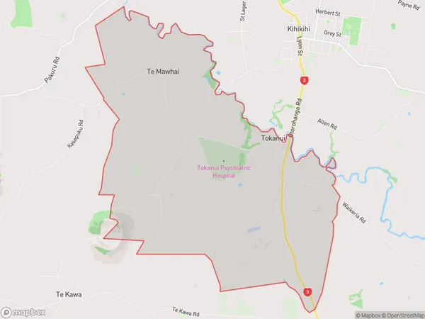 Tokanui, Waikato Polygon Area Map