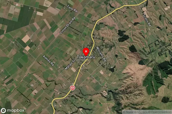 Tokomaru,Manawatu-Wanganui Satellite Map