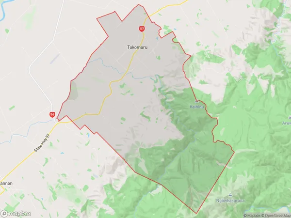 Tokomaru, Manawatu-Wanganui Polygon Area Map