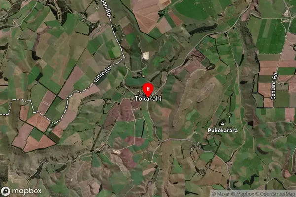 Tokarahi,Otago Satellite Map