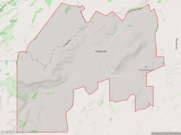 Tokarahi, Otago Polygon Area Map