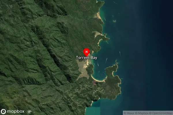 Torrent Bay,Tasman Satellite Map