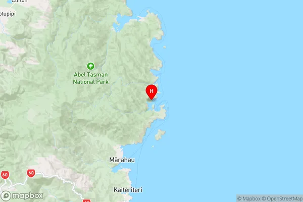 Torrent Bay,Tasman Region Map