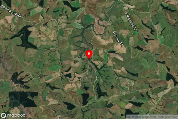 Tuapeka Flat,Otago Satellite Map