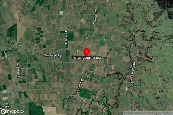 Turangaomoana,Waikato Satellite Map