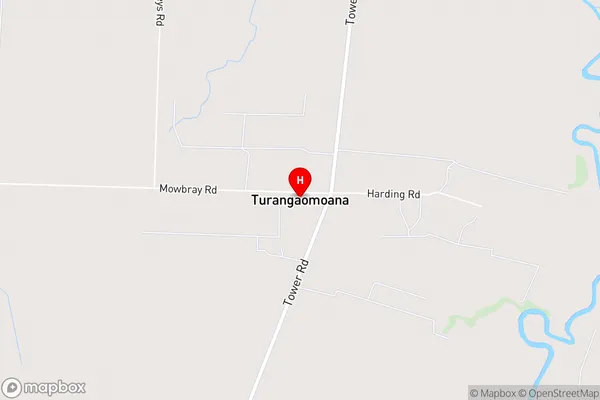 Turangaomoana,Waikato Area Map