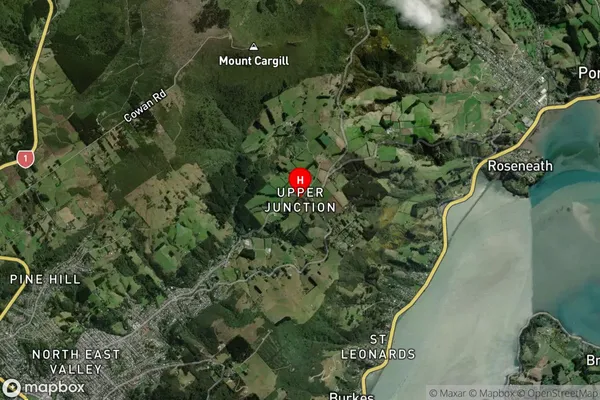 Upper Junction,Otago Satellite Map