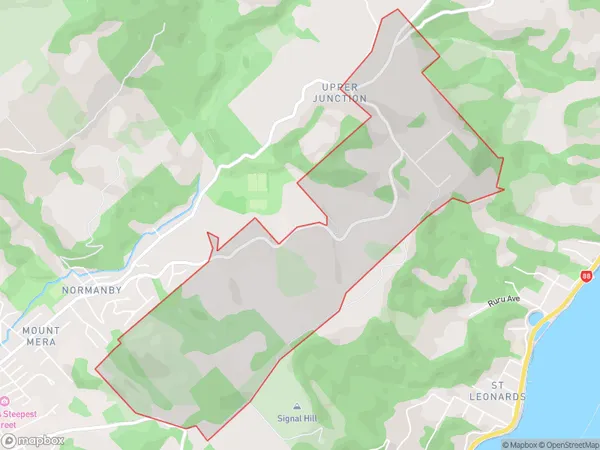 Upper Junction, Otago Polygon Area Map