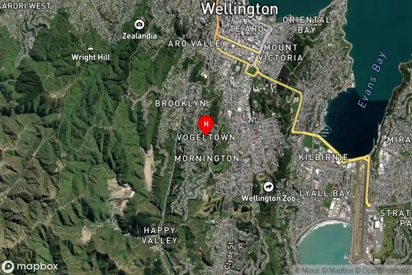 Vogeltown,Wellington Satellite Map