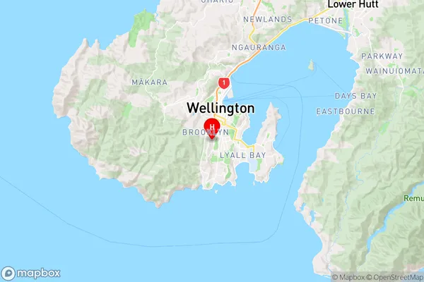 Vogeltown,Wellington Region Map