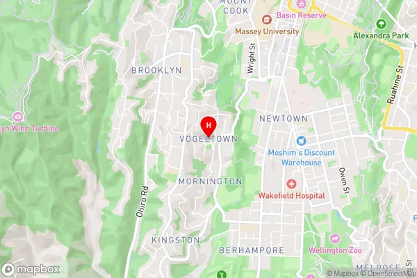 Vogeltown,Wellington Area Map