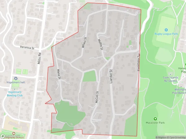 Vogeltown, Wellington Polygon Area Map