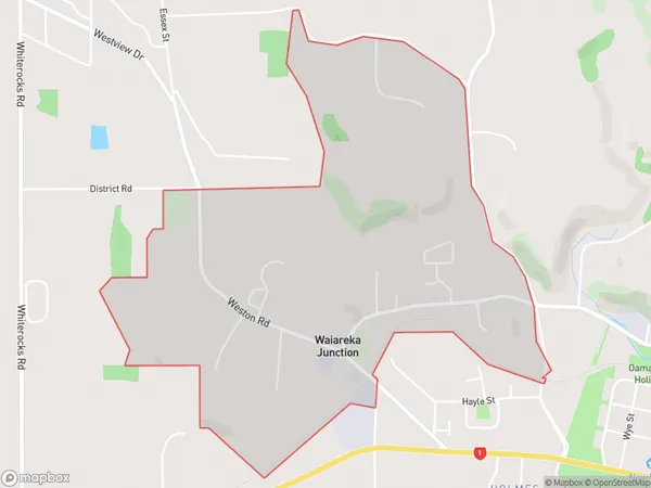 Waiareka Junction, Otago Polygon Area Map