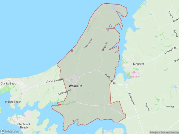 Waiau Pa, Auckland Polygon Area Map