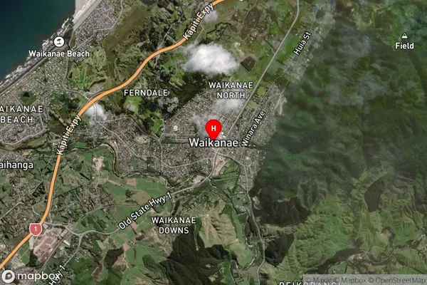 Waikanae,Wellington Satellite Map