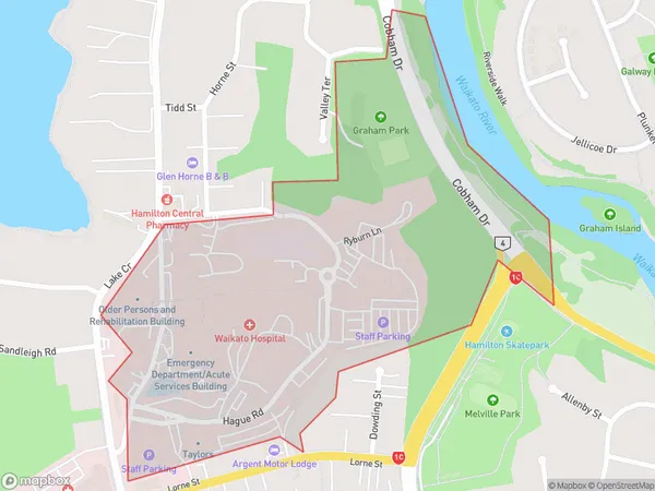 Waikato Hospital, Waikato Polygon Area Map