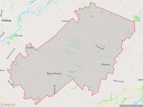 Bunnythorpe, Manawatu-Wanganui Polygon Area Map