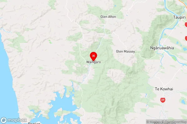 Waingaro,Waikato Region Map