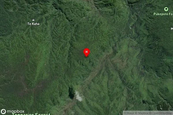 Waione,Manawatu-Wanganui Satellite Map
