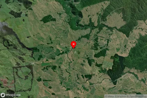 Waipa Valley,Waikato Satellite Map