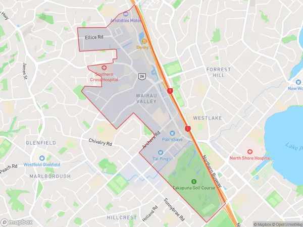 Wairau Valley, Auckland Polygon Area Map