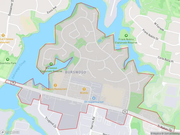 Burswood, Auckland Polygon Area Map